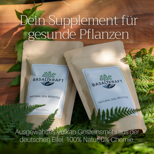 Basaltkraft Alltagsgröße 600g | Supplement für Zimmerpflanzen