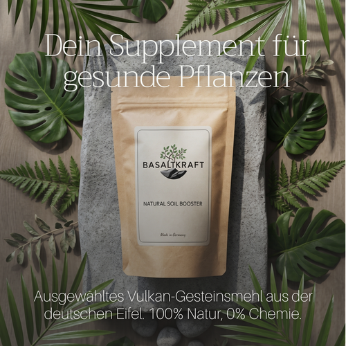 Basaltkraft Probiergröße 300g | Supplement für Zimmerpflanzen