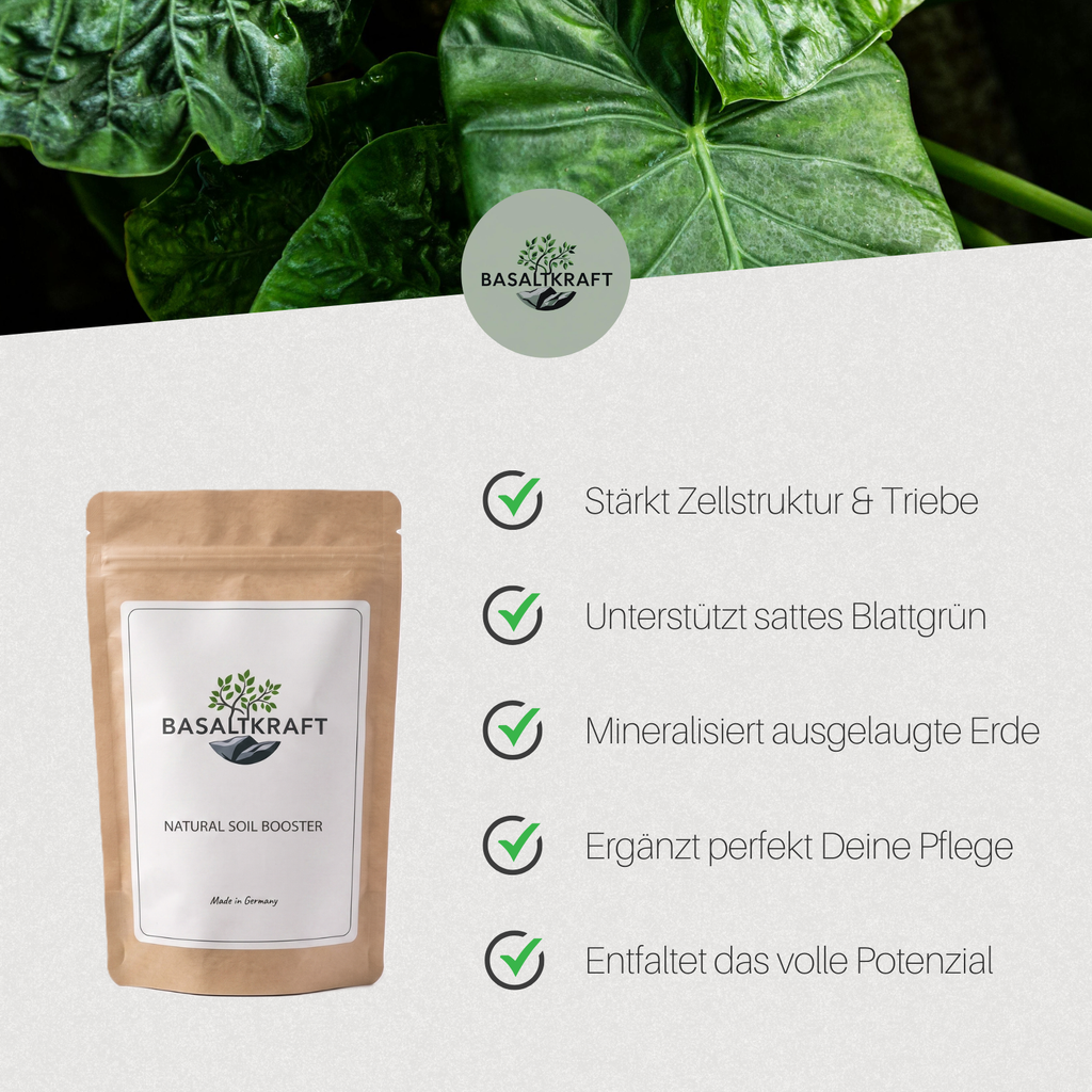 Basaltkraft Probiergröße 300g | Supplement für Zimmerpflanzen