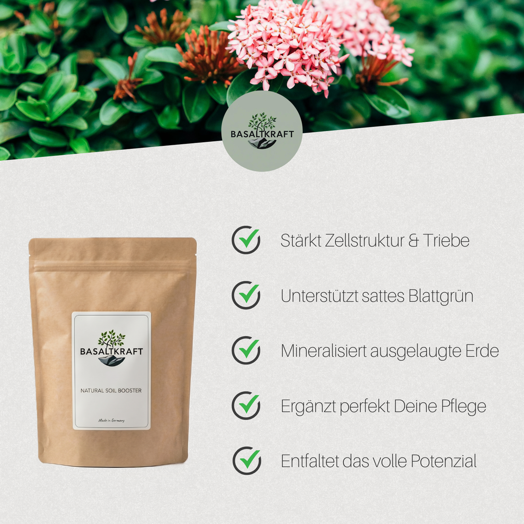 Basaltkraft Vorratsgröße 1800g | Supplement für Garten & Beete