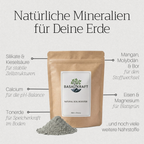 Basaltkraft Vorratsgröße 1800g | Supplement für Garten & Beete