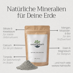 Basaltkraft Probiergröße 300g | Supplement für Zimmerpflanzen