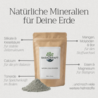 Basaltkraft Alltagsgröße 600g | Supplement für Zimmerpflanzen