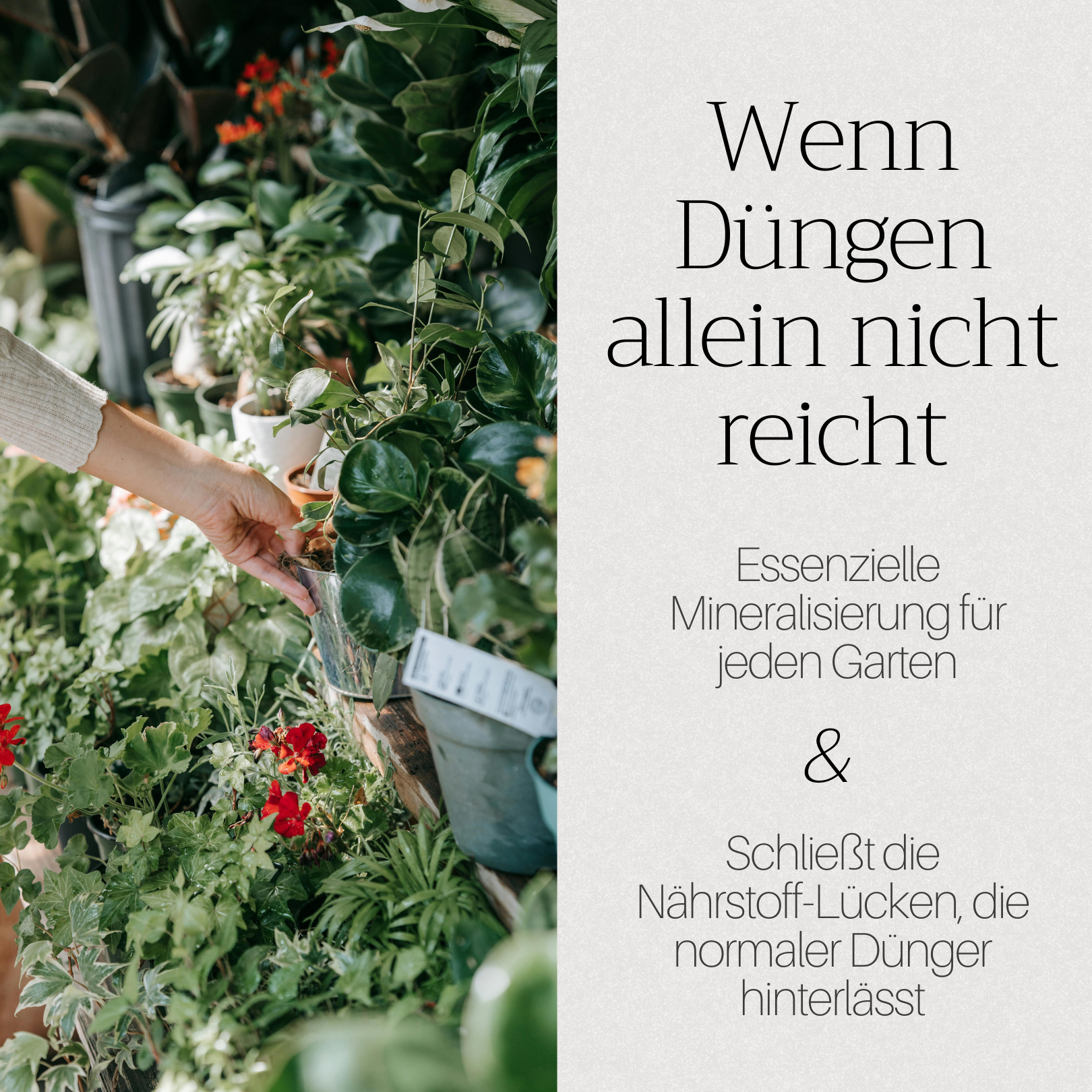 Basaltkraft Vorratsgröße 1800g | Supplement für Garten & Beete