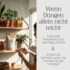 Basaltkraft Alltagsgröße 600g | Supplement für Zimmerpflanzen