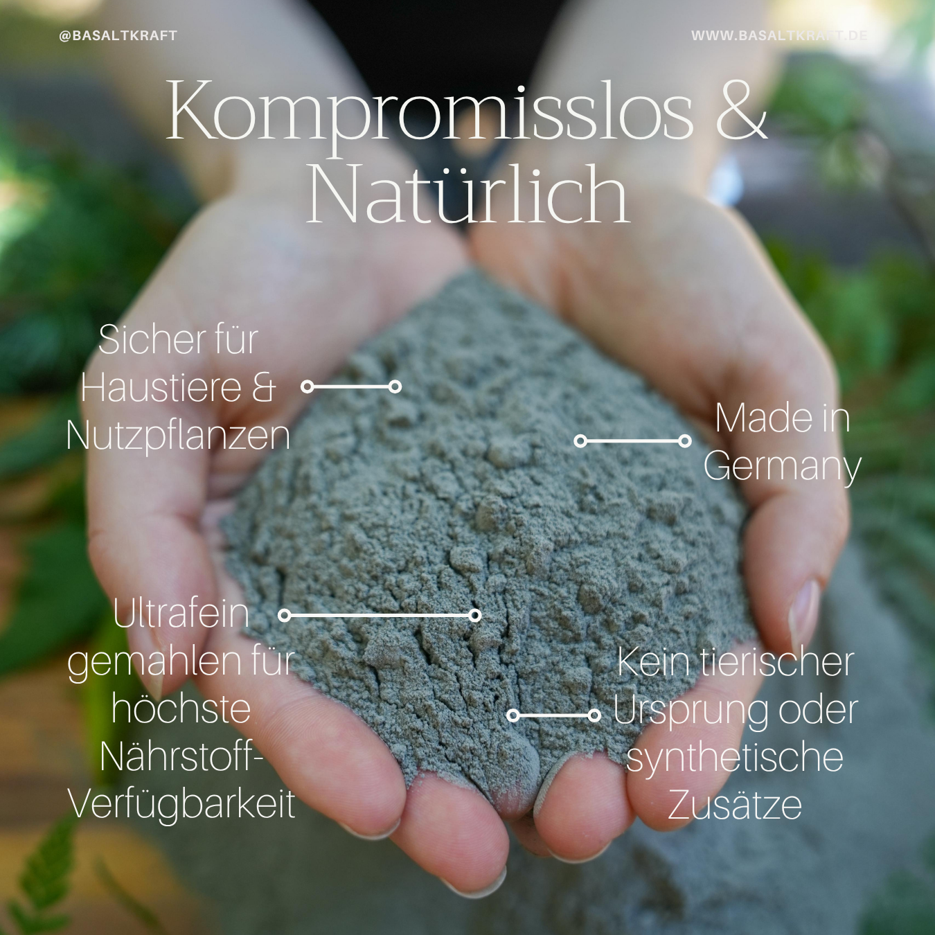 Basaltkraft | Pflanzen-Supplement 600g | Essenzielle Minerale & Nährstoffe für Zimmerpflanzen