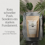 Basaltkraft Alltagsgröße 600g | Supplement für Zimmerpflanzen