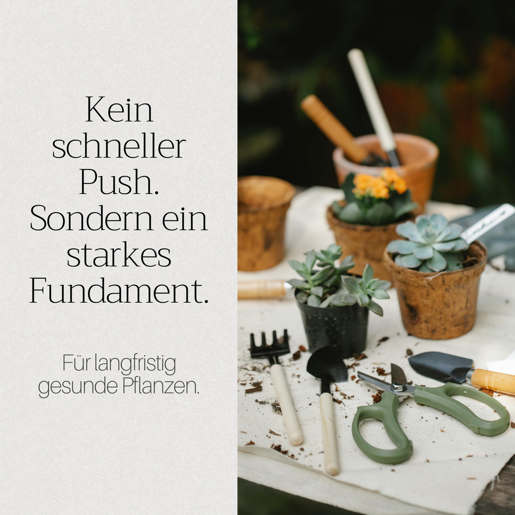 Basaltkraft Vorratsgröße 1800g | Supplement für Garten & Beete