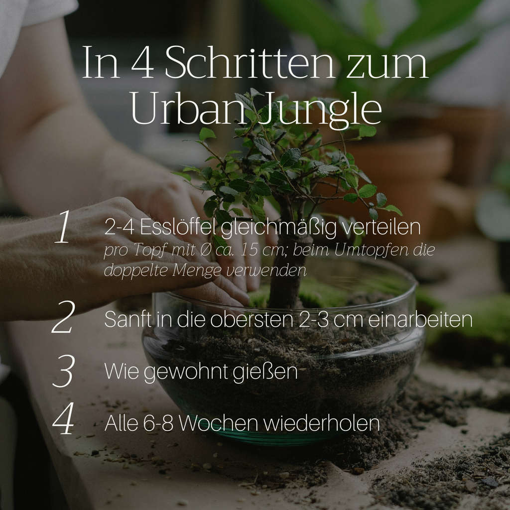 Basaltkraft Probiergröße 300g | Supplement für Zimmerpflanzen