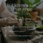 Basaltkraft Probiergröße 300g | Supplement für Zimmerpflanzen