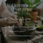 Basaltkraft Alltagsgröße 600g | Supplement für Zimmerpflanzen