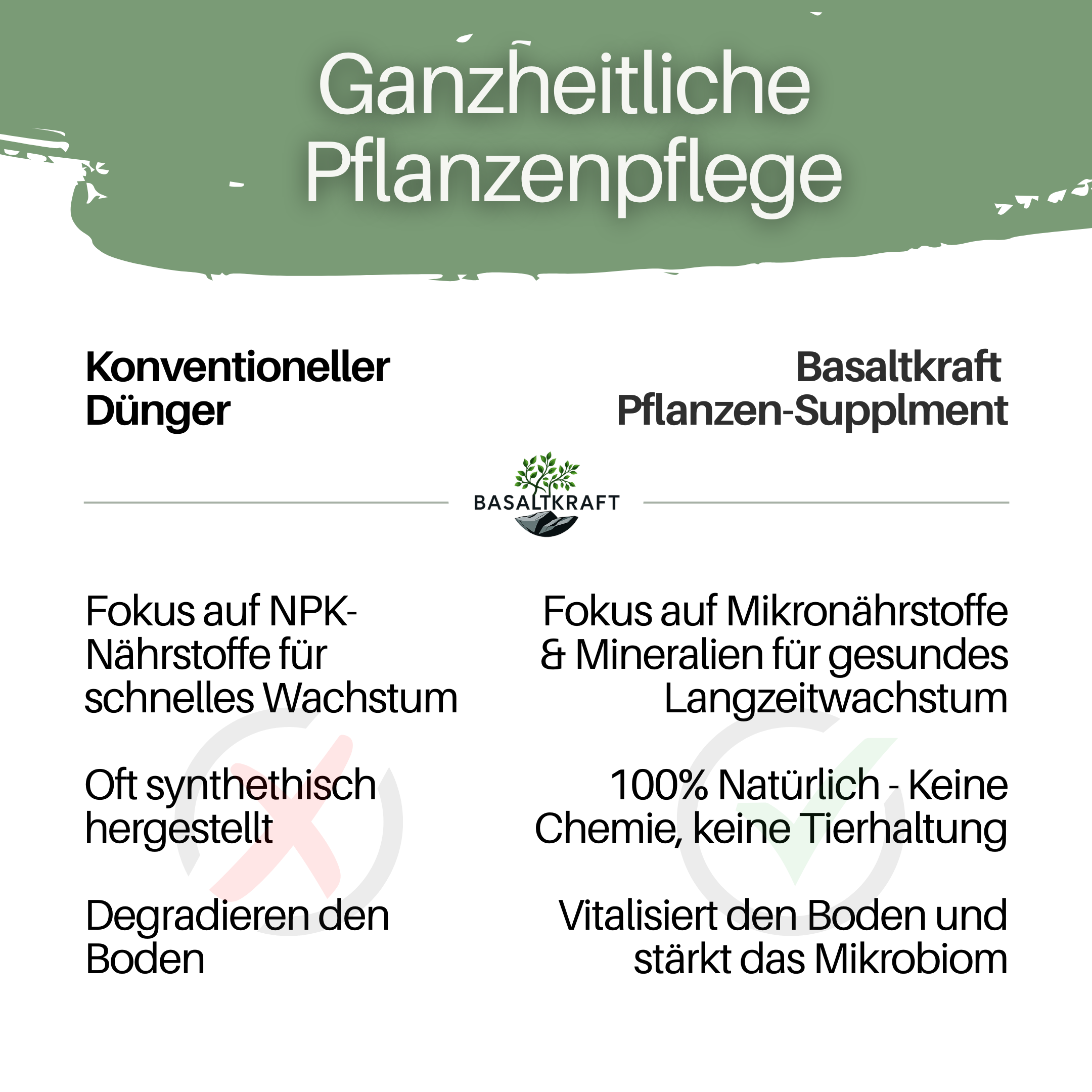 Basaltkraft | Zimmerpflanzen & Garten | 600g