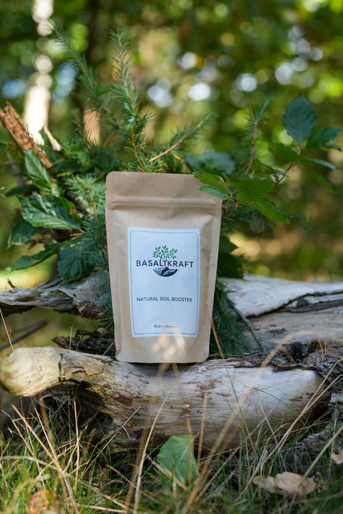 Basaltkraft | Balkon & Zimmerpflanzen | 600g