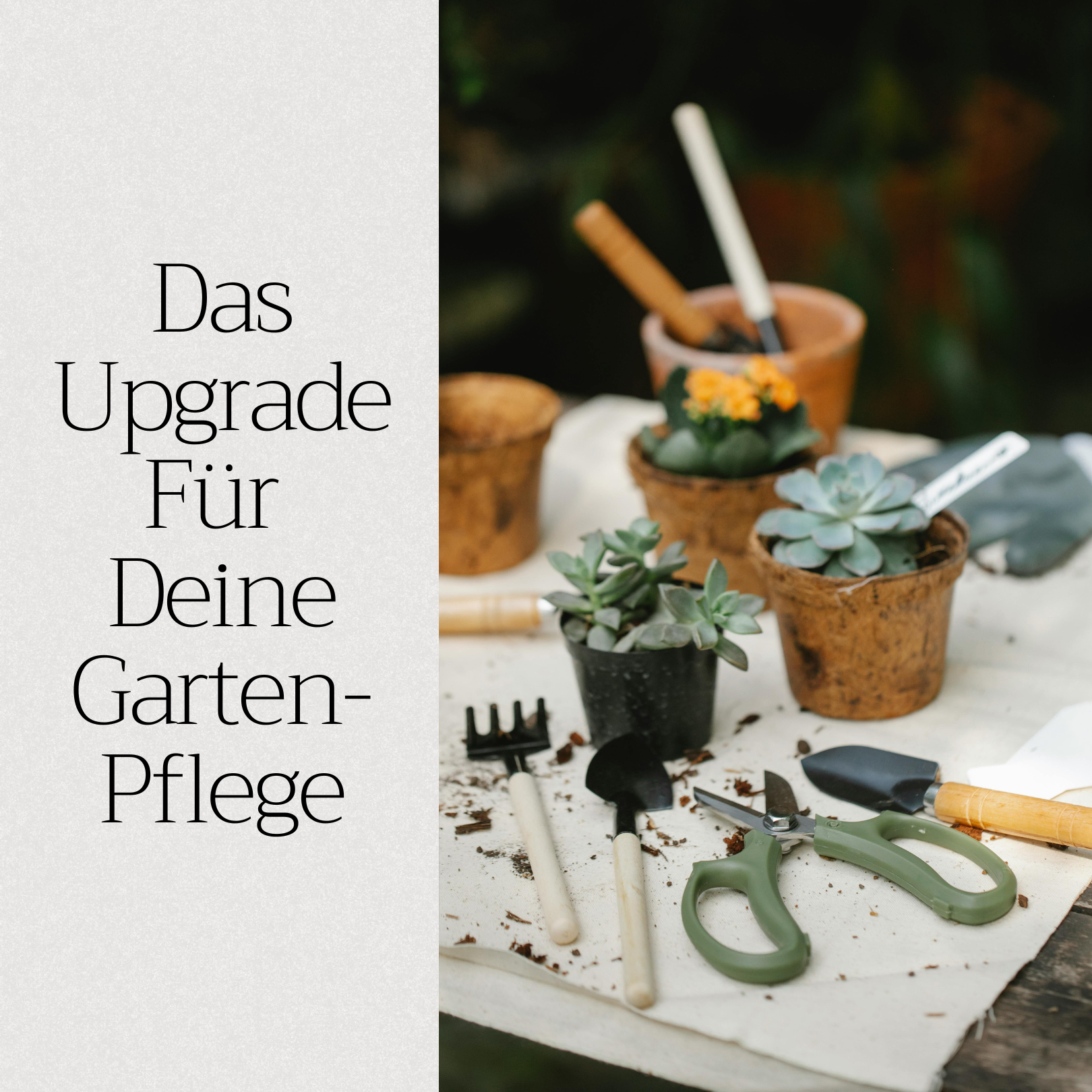 Basaltkraft Garten | Pflanzen-Supplement 1800g | Essenzielle Minerale & Nährstoffe für den Garten
