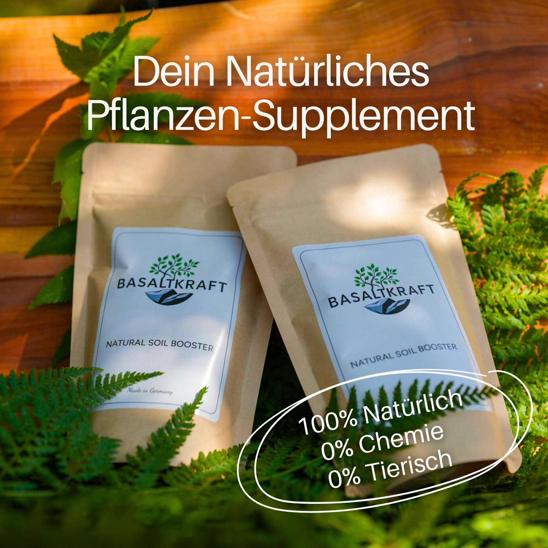 Basaltkraft | Zimmerpflanzen & Garten | 600g