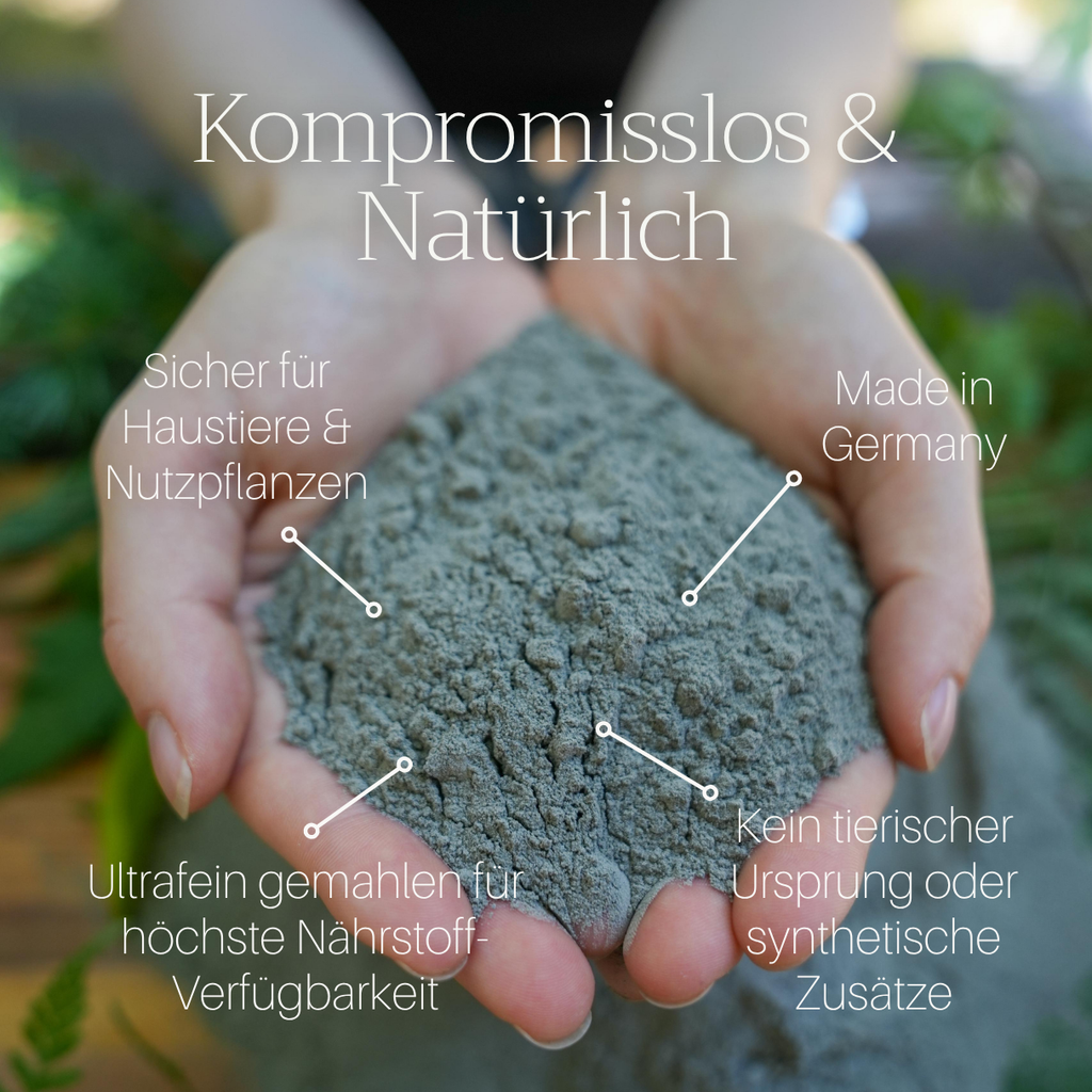 Basaltkraft | Pflanzen-Supplement 600g | Essenzielle Minerale & Nährstoffe