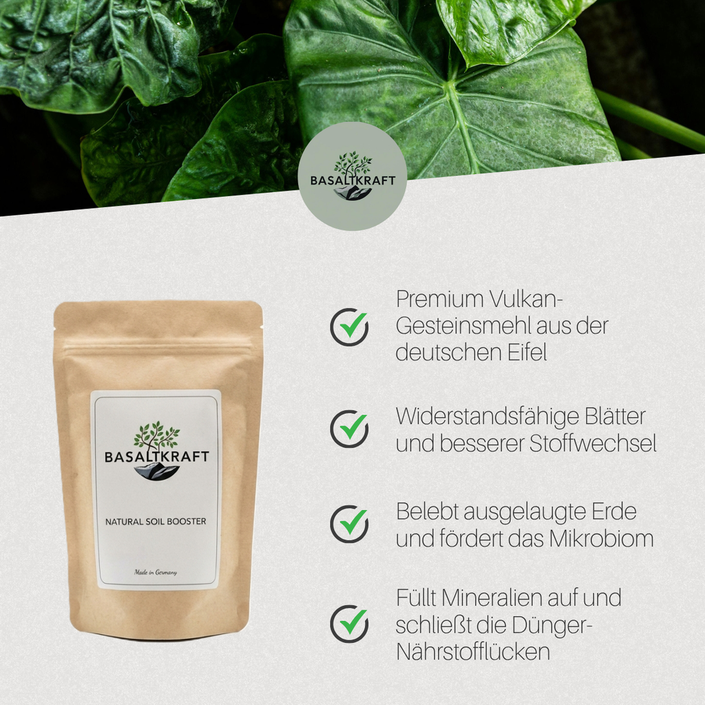 Basaltkraft | Pflanzen-Supplement 600g | Essenzielle Minerale & Nährstoffe