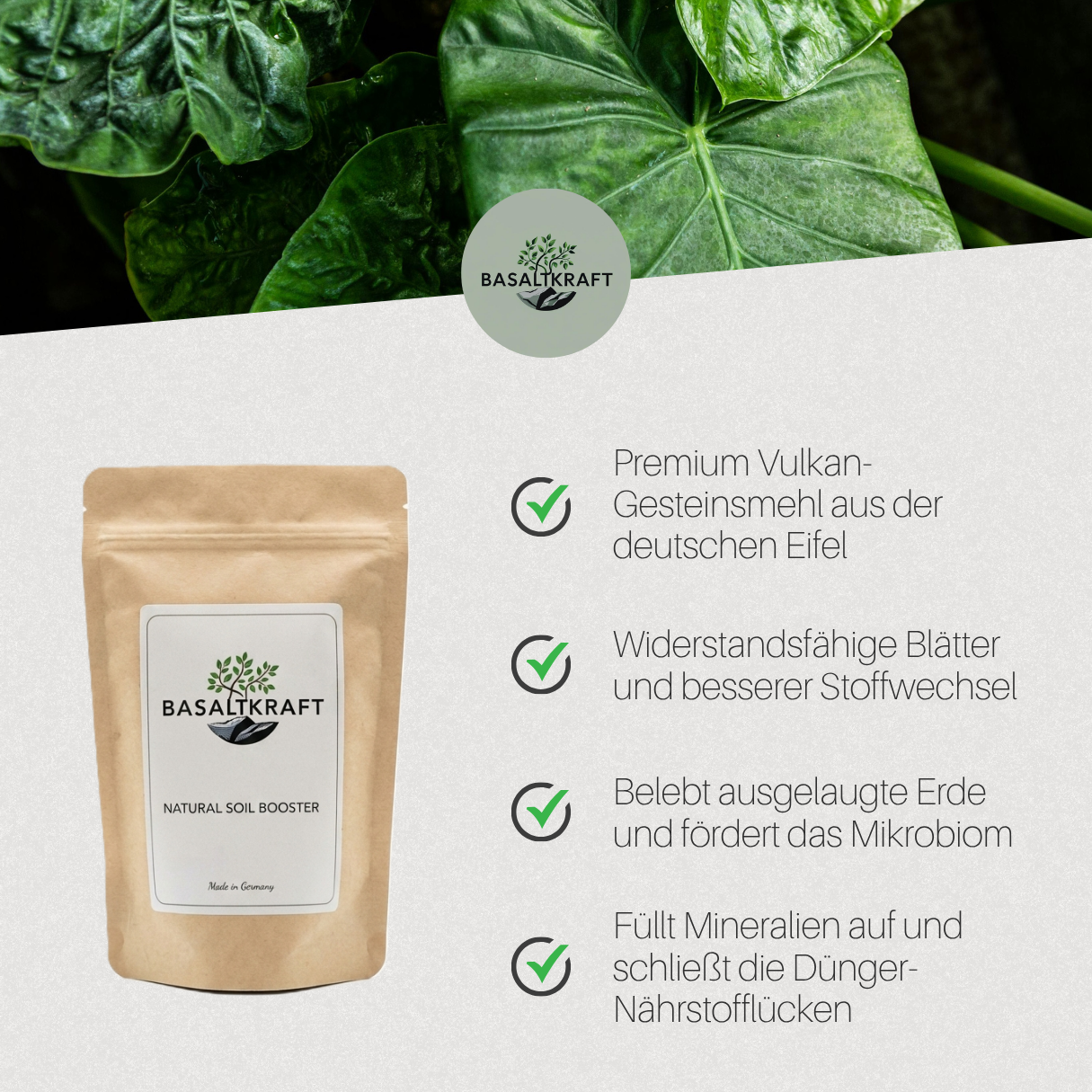 Basaltkraft | Pflanzen-Supplement 600g | Essenzielle Minerale & Nährstoffe